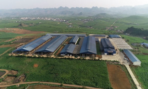 60 năm vì nguồn sữa chất lượng cho người Việt