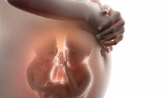5 món rau quả mùa hè ngon nhưng có thể ảnh hưởng xấu tới thai nhi mẹ bầu nên tránh