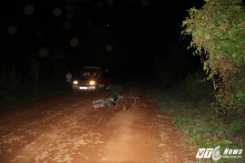 Chở gỗ bằng xe máy từ rừng về, người đàn ông bị gỗ đè chết