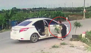 Xôn xao clip phụ nữ đi ô tô bê trộm chậu cây ven đường ở Hà Nội