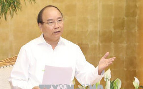 Thủ tướng: Chưa tăng giá điện, chỉ điều chỉnh giá dịch vụ giáo dục, y tế nếu phù hợp