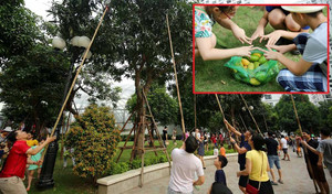 Ảnh: Dân Thủ đô nô nức 'mở hội' hái xoài