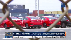 Video: Hàng nghìn ô tô nhập vẫn nằm cảng chờ hưởng thuế 0%