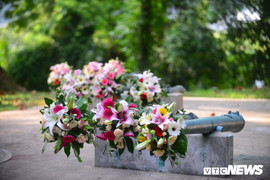 Súng và hoa ở đảo Sentosa