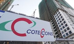 Vì sao cổ phiếu CTD - Coteccons ngày càng lao dốc?