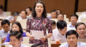 ĐBQH: 'Doanh nghiệp lại quả là ví dụ điển hình nhất hành vi tham nhũng trong khu vực tư'