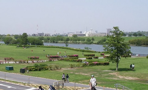 Người đàn ông bỗng nhiên quay về sau một năm được gia đình an táng