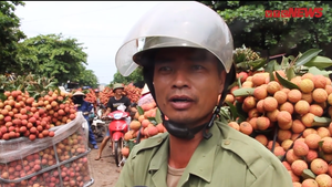 Video: Cứ 1 tạ bị thương lái trừ hao 8 kg, nông dân Bắc Giang bán vải trong 'cay đắng'