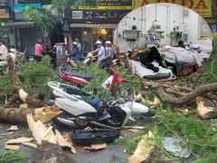 Sức khỏe của những nạn nhân bị cây đổ đè trúng ở Hà Nội giờ ra sao?