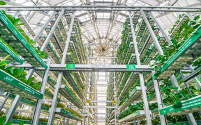 'Hành trình Tương Lai Xanh' cùng VinMart và VinMart+