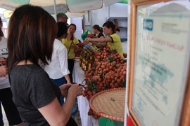 Vải thiều Thanh Hà giá cao vẫn hút khách Hà Nội