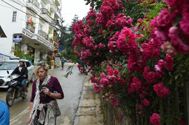 Clip vui về người Hà Nội trốn nóng ở Sa Pa