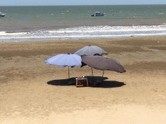 Phát hiện thi thể đàn ông trôi dạt ở bờ biển Thanh Hóa