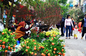 Chính thức trình đề xuất lịch nghỉ Tết Kỷ Hợi dài 9 ngày