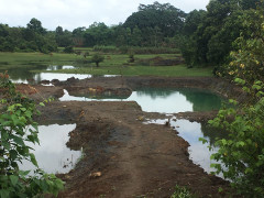 Đi tìm phong lan, 2 học sinh chết đuối thương tâm