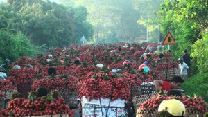 Ảnh: Chợ vùng cao Bắc Giang tắc đường hàng cây số do dân chở vải ra bán
