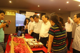 KH&CN thúc đẩy phát triển nông nghiệp công nghiệp hóa hành lang đường Hồ Chí Minh vùng Bắc Trung Bộ