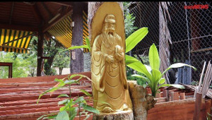 Clip: Mục sở thị những gốc cây kiểng được tạc tượng ở miền Tây