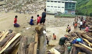 Clip: Trẻ em Lai Châu liều mình lao ra vớt củi giữa dòng lũ