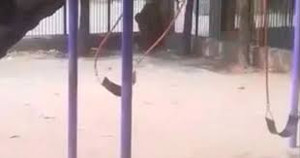 Kinh hãi cảnh xích đu 'ma' tự đung đưa rồi bất ngờ văng mạnh giữa ban ngày