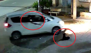 Clip: Cẩu tặc đi ô tô, bắn súng điện trộm chó nhanh như chớp