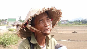 Hà Tĩnh: Bán 1 tạ muối không mua nổi 1 kg thịt