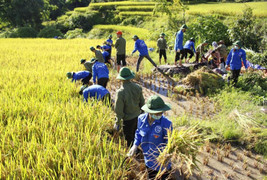 Sinh viên Học viện An ninh đội nắng giúp dân Yên Bái khắc phục hậu quả sau mưa lũ