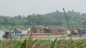 Khai thác cát trái phép trên sông Hồng: Phó Thủ tướng yêu cầu làm rõ