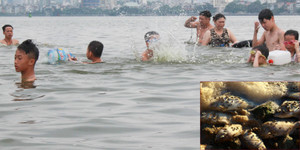 Hồ Tây ngập ngụa rác thải và cá chết, dân Thủ đô vẫn nô nức rủ nhau bơi lội