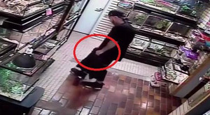 Clip: Trộm rắn nhét vào quần, đạo chích lĩnh trái đắng