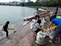 Video: Dân vớt hàng tạ cá chết ở Hồ Tây về ủ làm phân bón