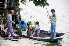 Dọn hơn 20 tấn cá chết, Hồ Tây sắp sạch trở lại