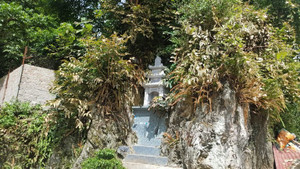 Chuyện chưa biết về thú chơi khác người của trùm ma túy khét tiếng vừa bị tiêu diệt ở Lóng Luông