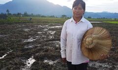 Nông dân Thái Lan từ chối nhận bồi thường thiệt hại do giải cứu đội bóng gây nên