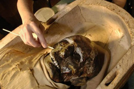 Bí mật xưởng ướp xác 2.500 tuổi vừa được phát hiện ở Ai Cập