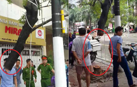 Clip: Hiện trường oái oăm vụ kẻ gian cưa trộm cây sưa đỏ trên phố Hà Nội
