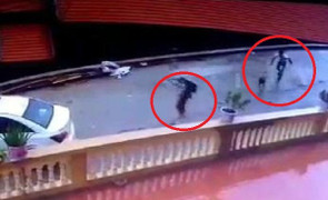 Clip: Du khách đi ô tô, tiện tay trộm ngỗng của dân Tam Đảo