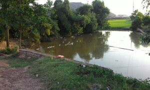 Hốt hoảng phát hiện thi thể hai anh em ruột dưới ao nước
