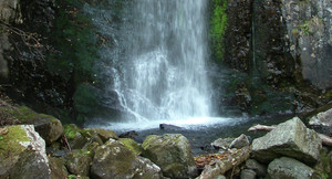 Video: Thực hiện thử thách liều lĩnh, chàng trai người Anh chết thương tâm