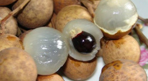 Hóc hạt nhãn, bé trai 2 tuổi sống thực vật do cha mẹ không biết sơ cứu