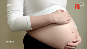 Hà Lan: Thử nghiệm thuốc kích dục Viagra cho thai phụ và kết quả thảm họa