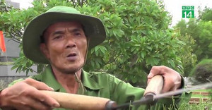 Gặp người 40 năm làm đẹp cho hàng nghìn phần mộ liệt sĩ