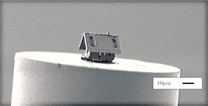 Ngôi nhà nhỏ nhất thế giới chỉ quan sát được bằng kính hiển vi