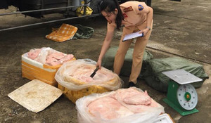 Rùng mình 2,5 tấn thịt lợn thối chuẩn bị lên bàn ăn