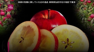 Táo mật gần 800.000 đồng/kg hút giới nhà giàu Việt