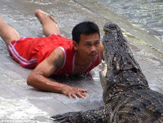 Video: Cá sấu ngoạm gần đứt tay huấn luyện viên khi đang biểu diễn