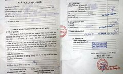 Dùng giấy khám sức khỏe giả, nữ giám đốc một công ty bị phạt 12 triệu đồng