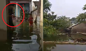 VIDEO Trực tiếp: Huyện Chương Mỹ - Hà Nội ngập đến nóc nhà, dân câu cá trước cổng