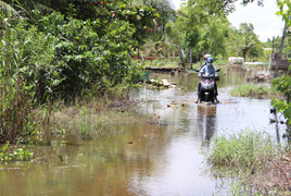 Ảnh: Dân TP Sóc Trăng khổ sở sống trong cảnh ngập úng