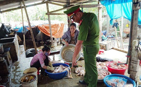 Bắt quả tang cơ sở dùng nhựa thông và hàn the để sơ chế gia cầm